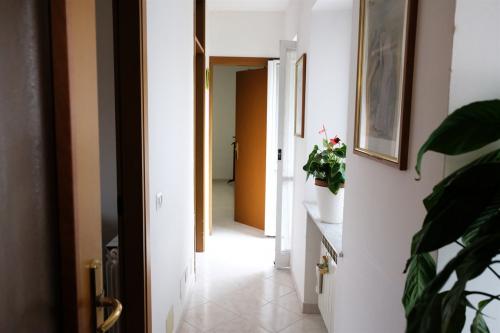 Altro in vendita a Somma Lombardo