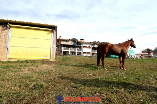 Casa Indipendente in vendita a Limbiate