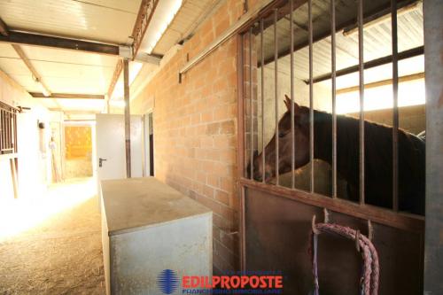 Casa Indipendente in vendita a Limbiate