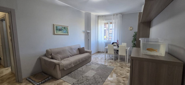 Appartamento in vendita a Bovisio-Masciago