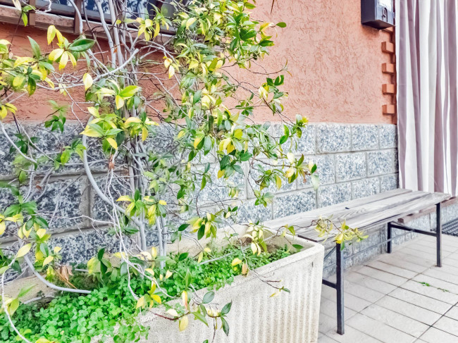 Appartamento in vendita a Paderno Dugnano