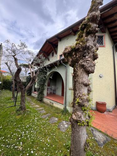 Casa singola in vendita a Forte dei Marmi