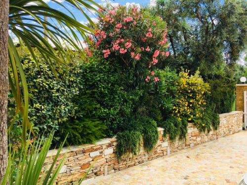 Villa in vendita a Forte dei Marmi