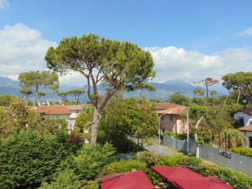 Appartamento in vendita a Forte dei Marmi