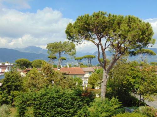 Appartamento in vendita a Forte dei Marmi