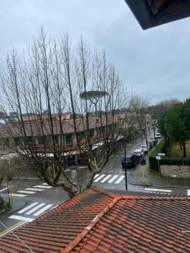 Appartamento in vendita a Forte dei Marmi