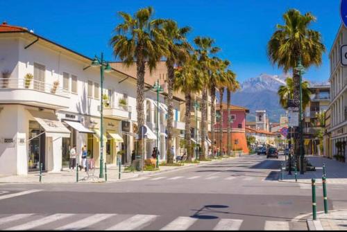 Casa singola in vendita a Forte dei Marmi
