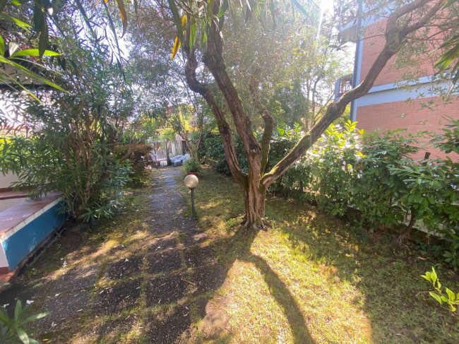 Villette a schiera in vendita a Montignoso
