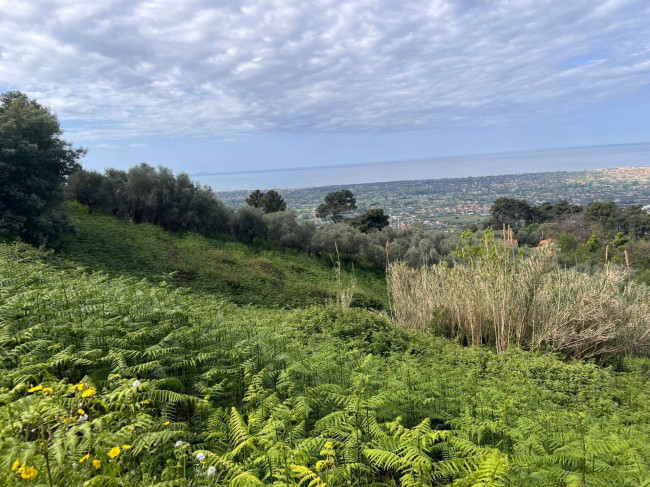Rustico in vendita a Pietrasanta