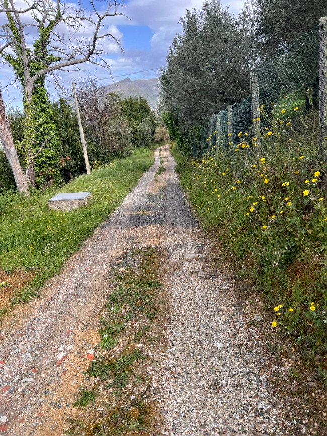 Rustico in vendita a Pietrasanta