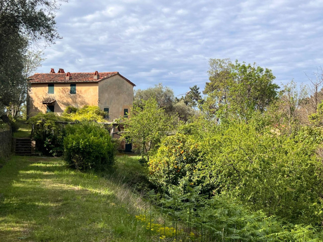 Rustico in vendita a Pietrasanta