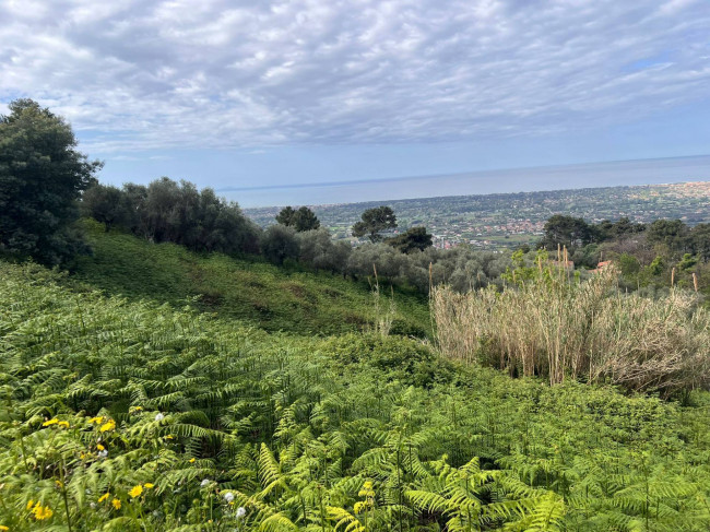 Rustico in vendita a Pietrasanta