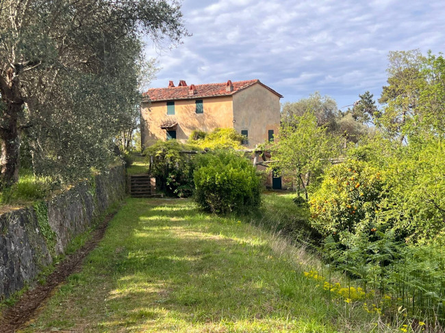 Rustico in vendita a Pietrasanta