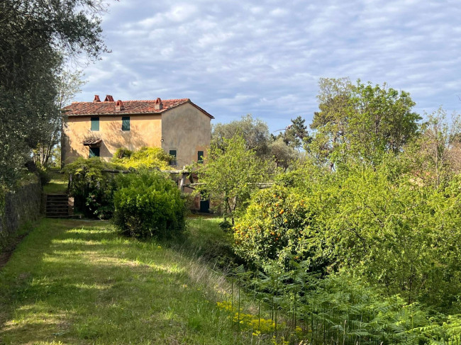 Rustico in vendita a Pietrasanta