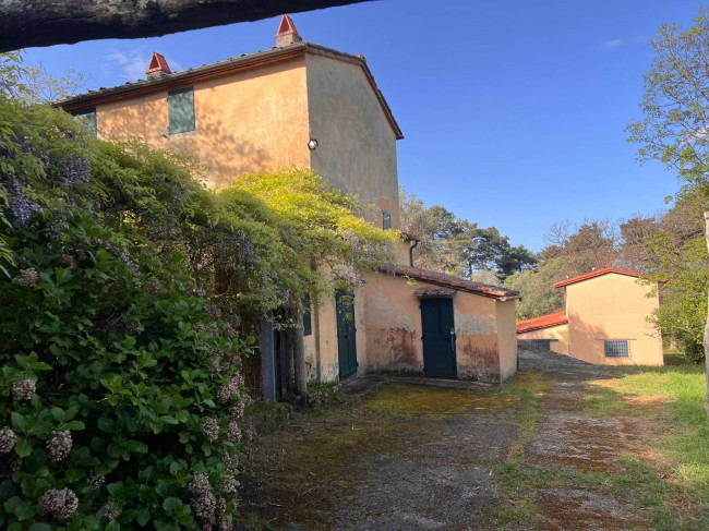 Rustico in vendita a Pietrasanta