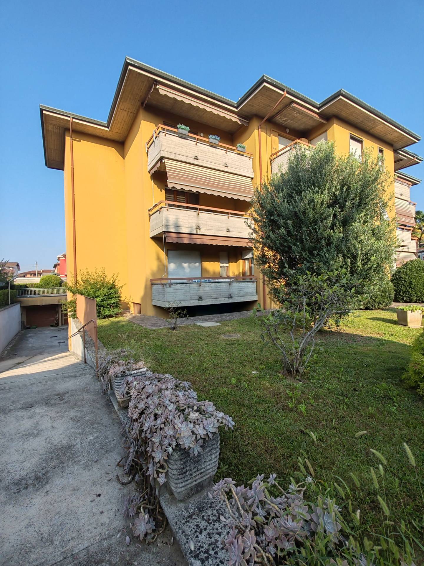 Attività commerciale in affitto a Solaro