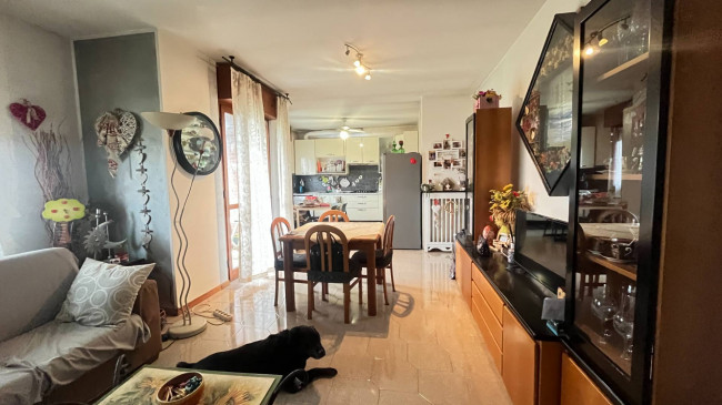 Appartamento in vendita a Solaro