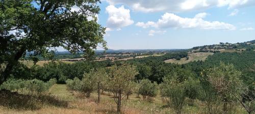 Rustico in vendita a Sorano