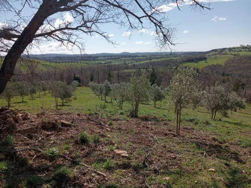 Rustico in vendita a Sorano