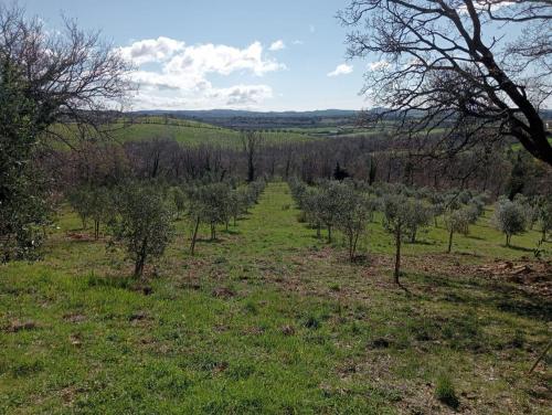 Rustico in vendita a Sorano