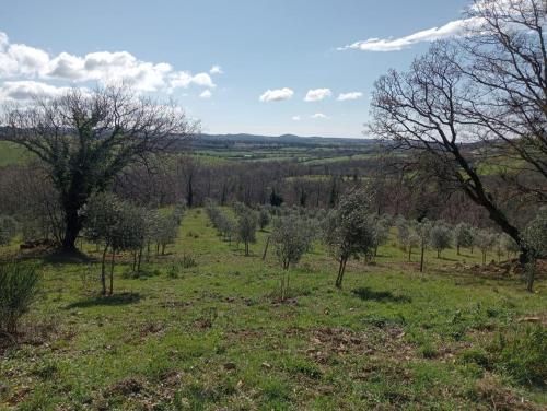 Rustico in vendita a Sorano