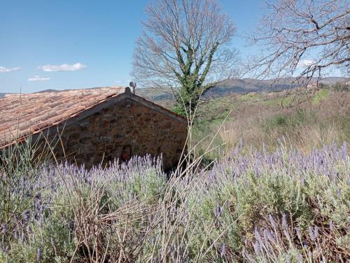 Rustico in vendita a Sorano