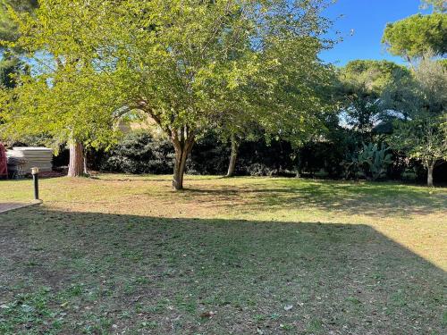 Villa in vendita a Tarquinia