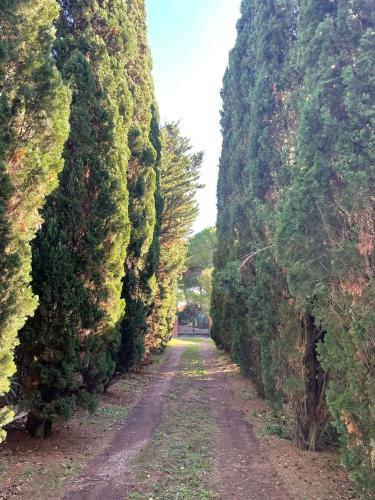 Villa in vendita a Tarquinia