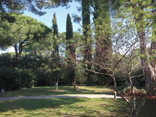 Villa in vendita a Tarquinia