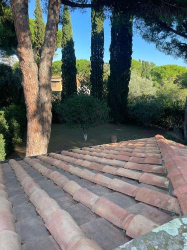 Villa in vendita a Tarquinia