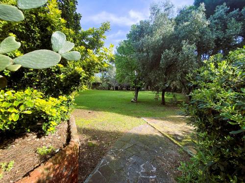 Villa in vendita a Tarquinia