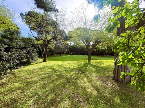 Villa in vendita a Tarquinia