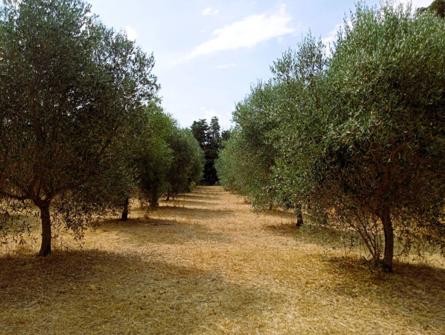 Villa in vendita a Tarquinia