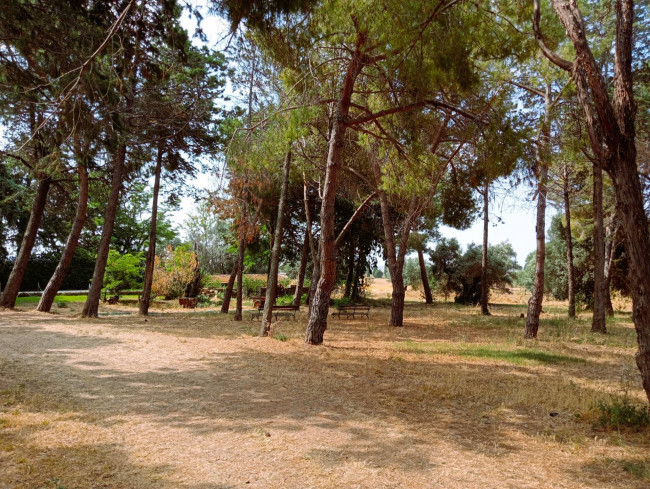 Villa in vendita a Tarquinia