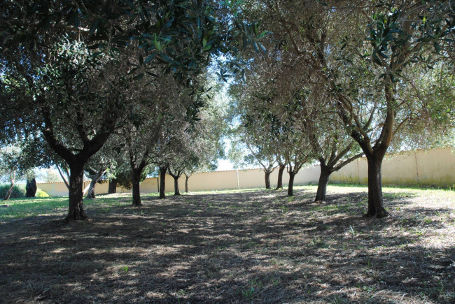 Villa in vendita a Tarquinia