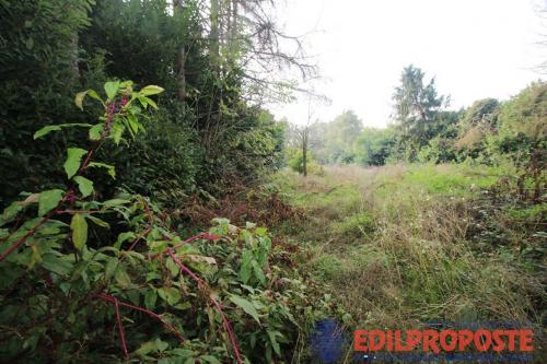 Terreno Agricolo in vendita a Lentate sul Seveso