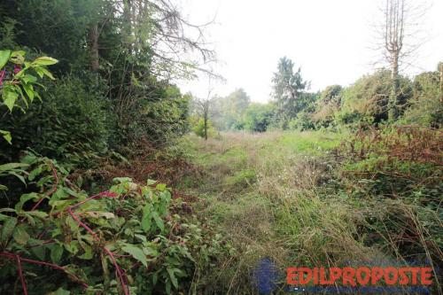 Terreno Agricolo in vendita a Lentate sul Seveso