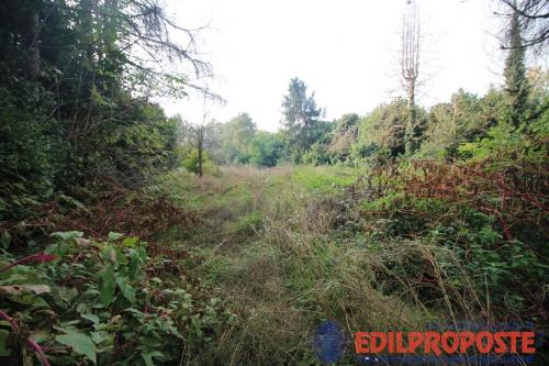 Terreno Agricolo in vendita a Lentate sul Seveso