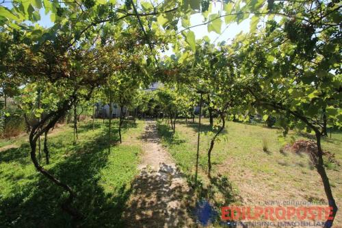Appartamento in vendita a Lazzate