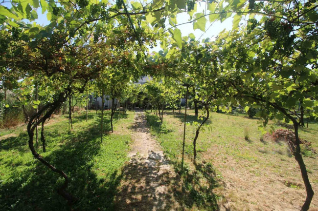 Appartamento in vendita a Lazzate