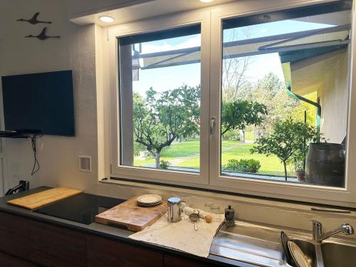 Casa singola in vendita a Briosco