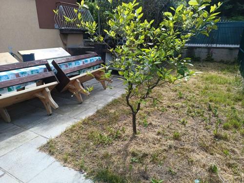 Casa singola in vendita a Cermenate