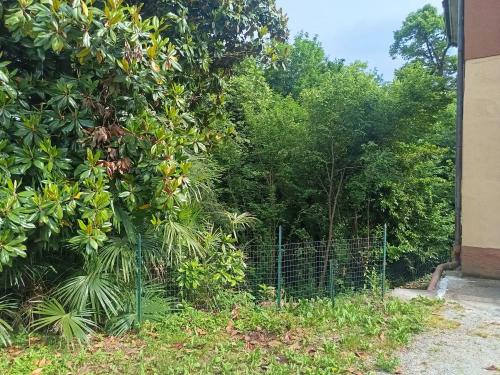 Casa singola in vendita a Cermenate