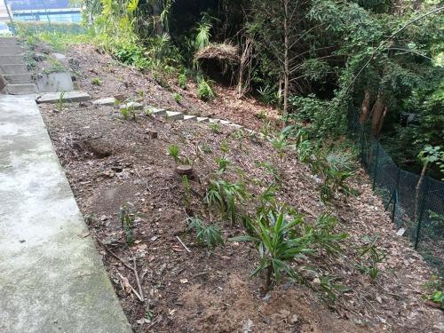 Casa singola in vendita a Cermenate