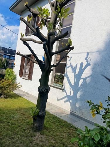 Casa singola in vendita a Cermenate