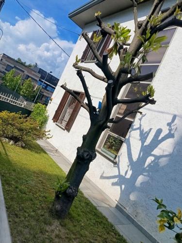 Casa singola in vendita a Cermenate