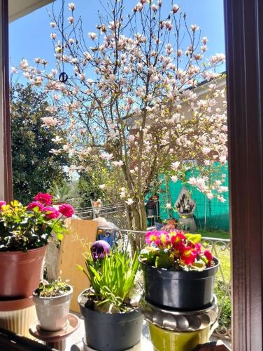 Casa singola in vendita a Cermenate