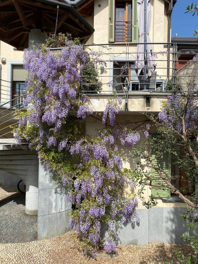 Appartamento in vendita a Nova Milanese
