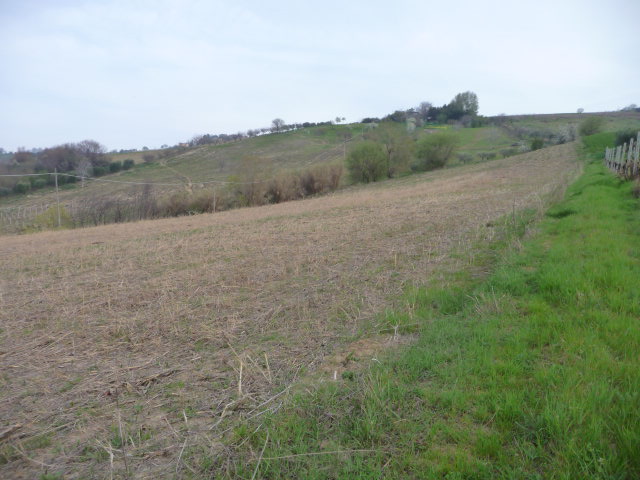 Terreno in Vendita