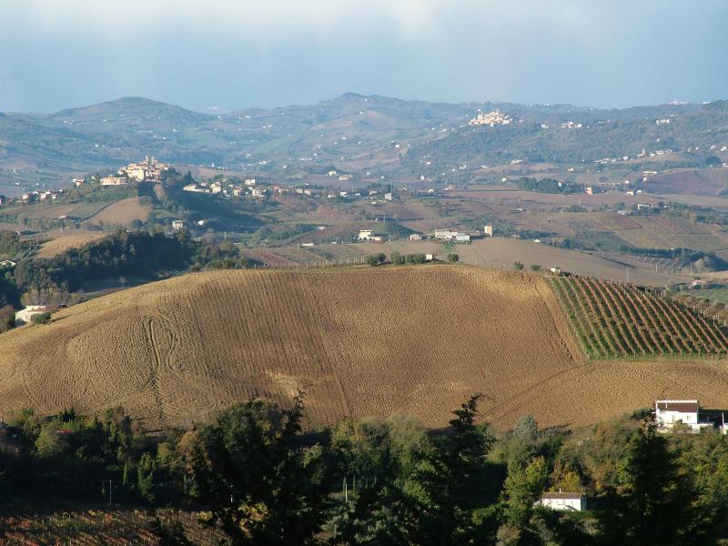 Attività Commerciale in Vendita